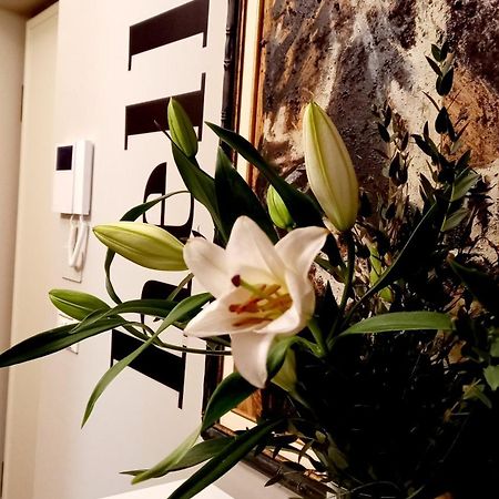 Sky Loft Nuovissimo Vicinanze Metro Apartment Торино Екстериор снимка